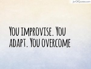The Importance of Flexibility: Improvise, Adapt, and Overcome